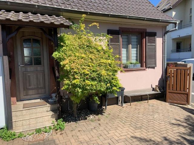 La Maison D'A Cote De Strasbourg Illkirch-Graffenstaden Exteriör bild